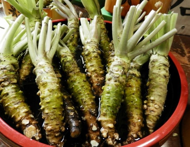 Wasabi - Loại thảo dược quý hiếm vô cùng có lợi cho sức khỏe 13