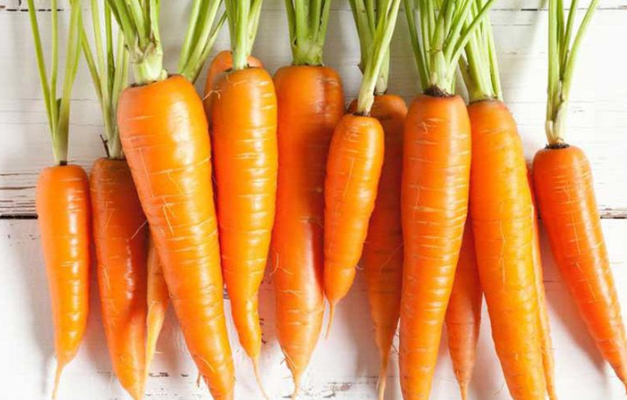 Giới thiệu chung về cà rốt
