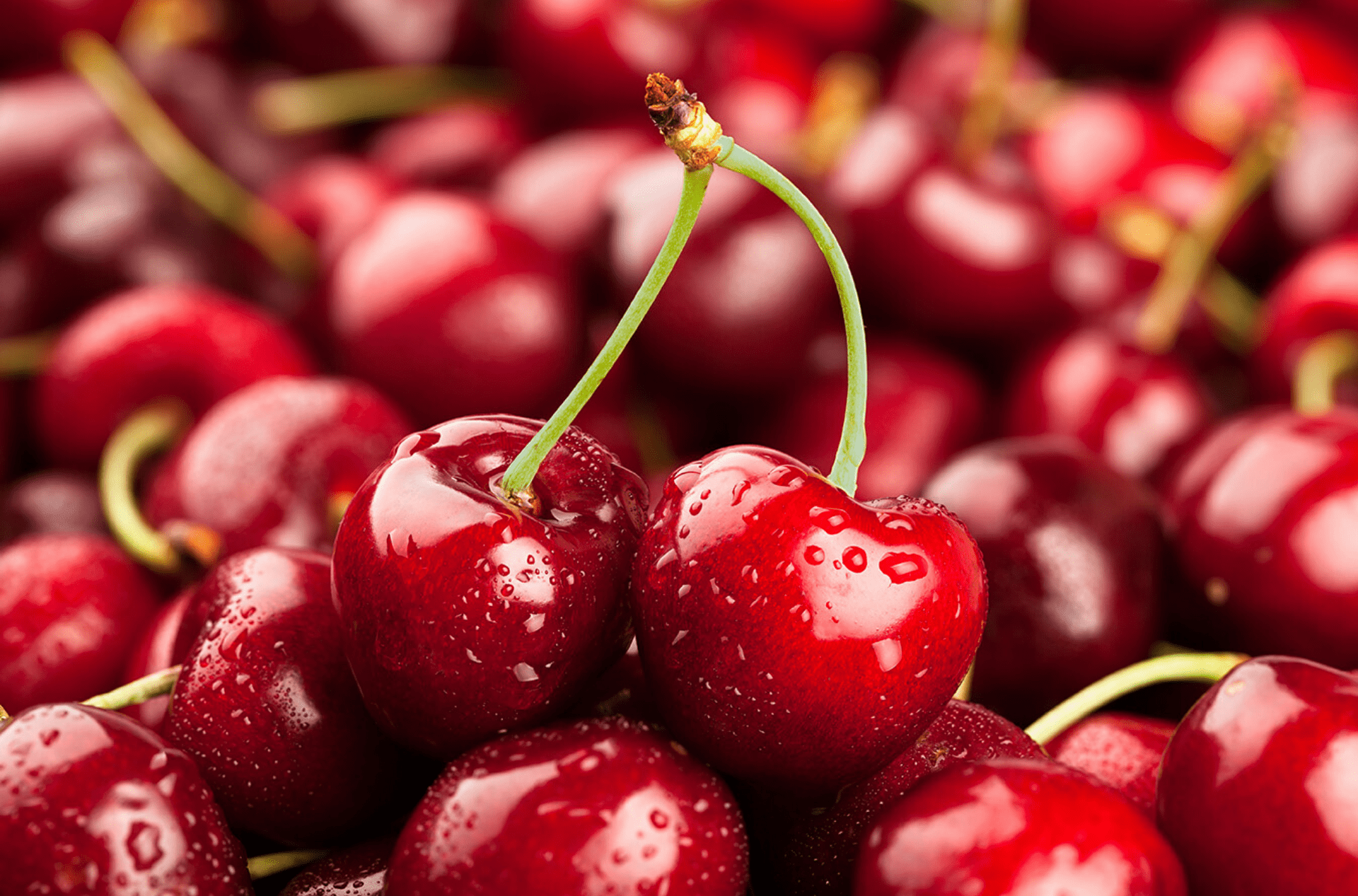 Thành phần dinh dưỡng của cherry